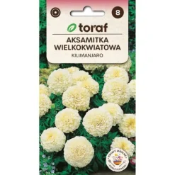 Ringblomma KILIMANJARO 0,3 g