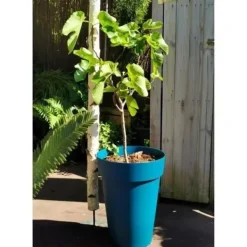 Hot RIVIERA SOLEILLA blomlåda - Plast - Höjd 53 cm - Blå Krukväxter Inomhus
