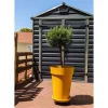 Outlet RIVIERA SOLEILLA blomlåda - Plast - Höjd 53 cm - Gul Krukor & Växtbehållare