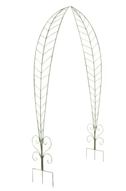 Rosenbåge Ellen 36 x 162,5 x 264 cm 5 Valvbågar, Spaljéer, Bersåer & Pergolor