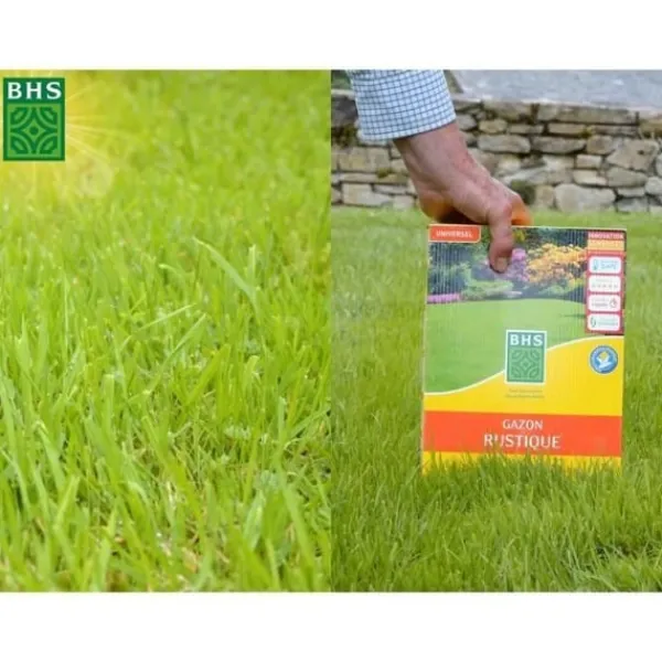 Best Rustikt gräs - BHS - 3 kg låda - Resistent mot tuffa väderförhållanden - Sol - Röd Fröer & Lökar