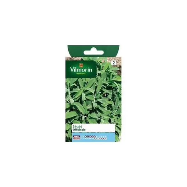Best Sachet frön Salvia officinalis Fröer & Lökar