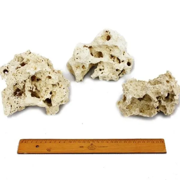 Sansibar Rock Gr. L 18-22 cm