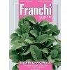 SÄDESÄRTER AV SALVIA OFFICINALE FRANCHI SEMENTI