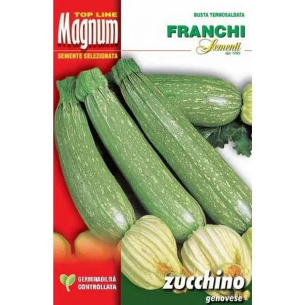 Clearance SEM ZUCCHINO GENOVESE BUSTA MAGNUM FRANCHI SEMENTI Fröer & Lökar
