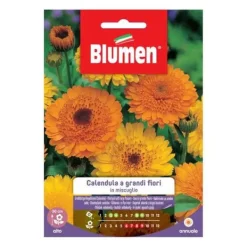 Sale SEMEN AV CALENDULA STOR STOR MIX BLUMEN Fröer & Lökar