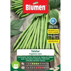 SEMEN AV LITEN BÖNOR TELSTAR BLUMEN