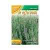 New SEMENTER AV ISSOPO OFFICINALE trädgård frön Fröer & Lökar