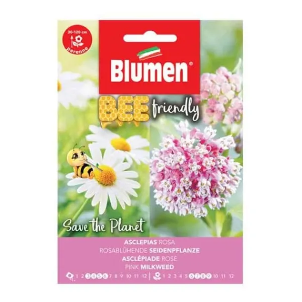 SEMI ASCLEPIAS ROSA BLUMEN