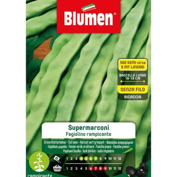 SEMI AV ÄRTPLODANDE SUPERMARCONI BLUMEN
