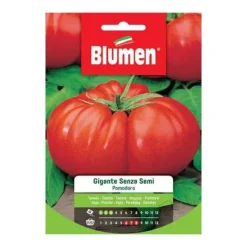 New SEMI AV STORSTOMATIG TOMAT UTAN FRÖN BLUMEN FRÖ SÄDESMARK Fröer & Lökar