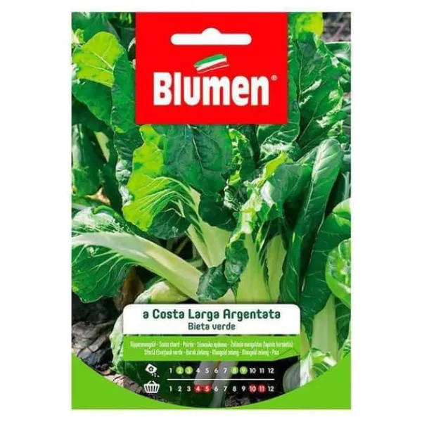 SEMI BIETA VERDE COSTA ARGENTO BLUMEN Fröer & Lökar