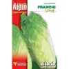SEMI CICORIA PAN DI ZUCCHERO FRANCHI SEMENTI Fröer & Lökar