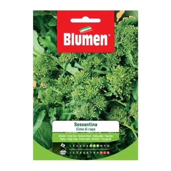 Clearance SEMI CIMA DI RAPA SESSANTINA BLUMEN SEMENTI ORTO Fröer & Lökar