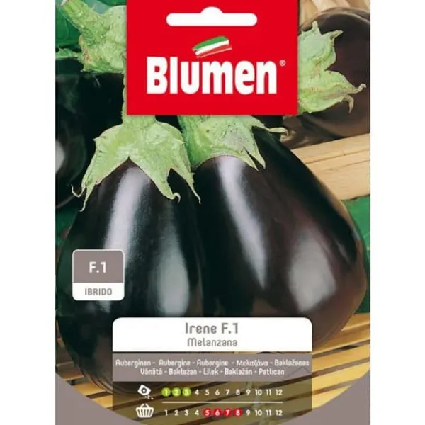 Sale SEMI MELANZANA IRENE F1 SAMENT BLUMEN ORTO Fröer & Lökar