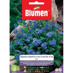 Online SEMI MYOSOTIS ALPESTRIS ELLER GLÖM INTE MIG BLOMMA Fröer & Lökar