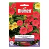 Outlet SEMI PETUNIA HYBRIDA PENDULA MIX BLUMMAR Blommor