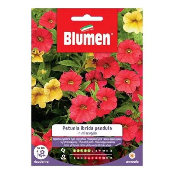 Outlet SEMI PETUNIA HYBRIDA PENDULA MIX BLUMMAR Blommor
