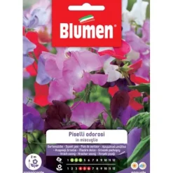 Sale SEMI PISELLO ODOROSO MIX BLUMEN Fröer & Lökar
