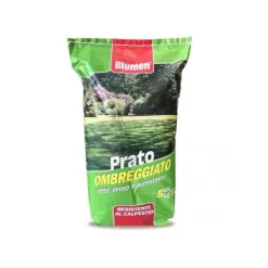 Outlet SEMI PRATO FORTE OMBREGGIATO 5KG BLUMEN Fröer & Lökar
