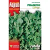 Discount SEMI RUCOLA COLTIVATA FOGLIA LARGA BUSTA MAGNUM FRANCHI Fröer & Lökar