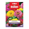 SEMI ZINNIA GIGANTE MIX CALIFORNIA BLOMMOR