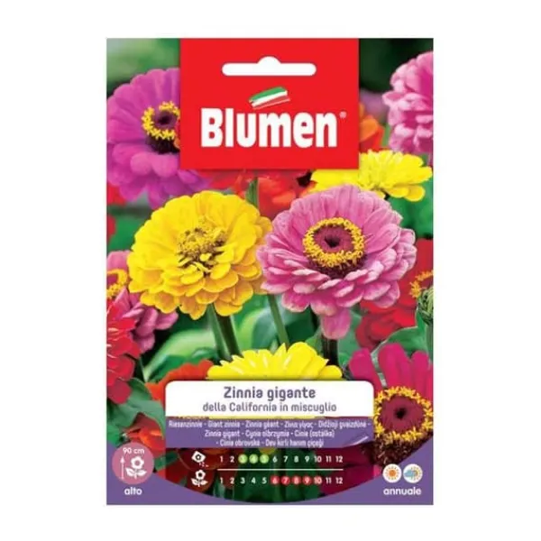 SEMI ZINNIA GIGANTE MIX CALIFORNIA BLOMMOR