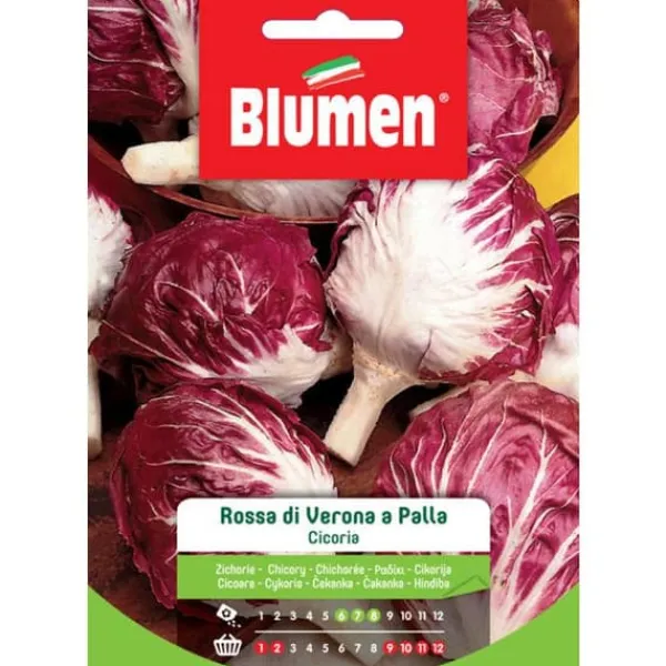 Online SEMICIKORIA RÖD AV VERONA I KULA BLUMEN TRÄDGÅRD Fröer & Lökar