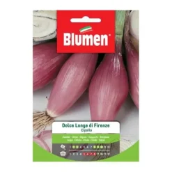 Outlet SEMICIPOLLA DOLCE LÅNG AV FIRENZE BLUMEN Fröer & Lökar