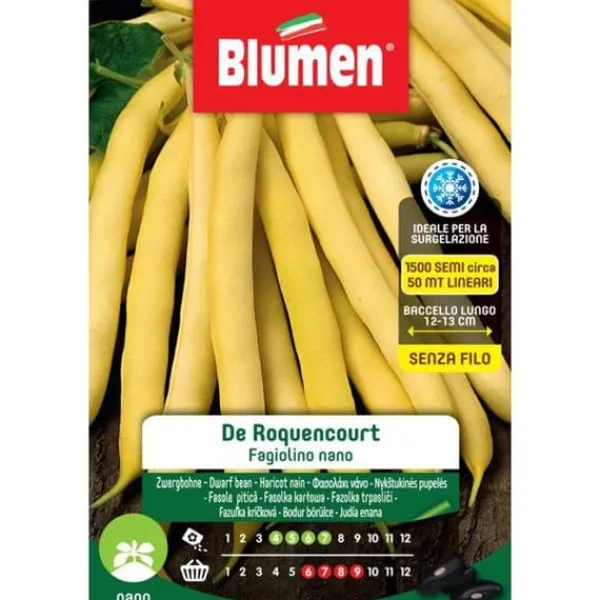 SEMIFAGIOLINO NANO ROCQUENCOURT BLUMEN