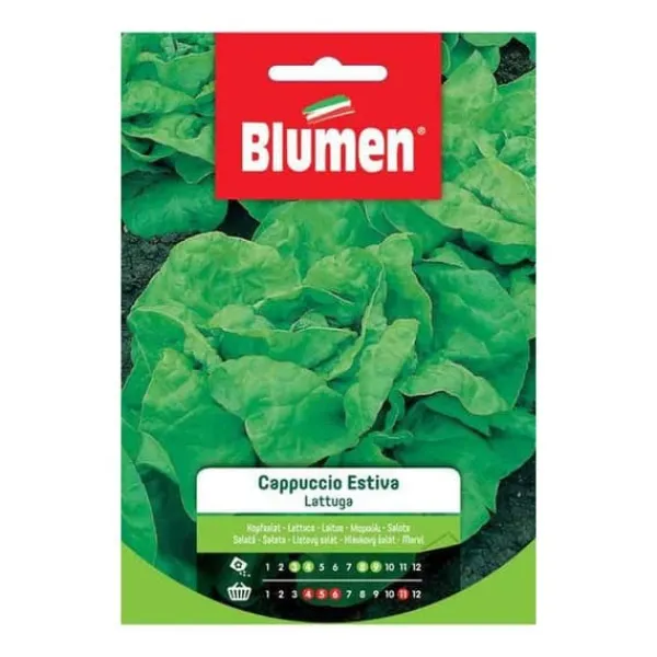 SEMILATTUGA CAPPUCCIO ESTIVA BLUMEN
