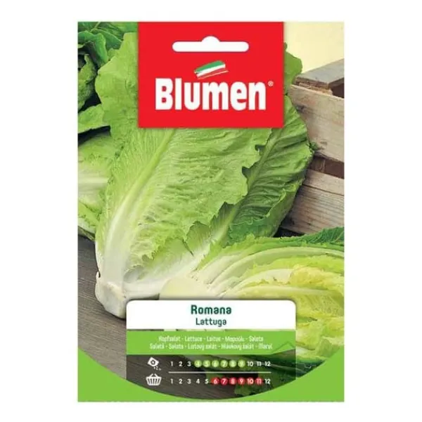 SEMILATTUGA ROMANA BLUMEN FRÖ SCHÄRGAARD