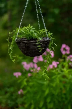 Clearance Set med 5 hängande blomkorgar “EKO 195-110” Trädgårdskorgar