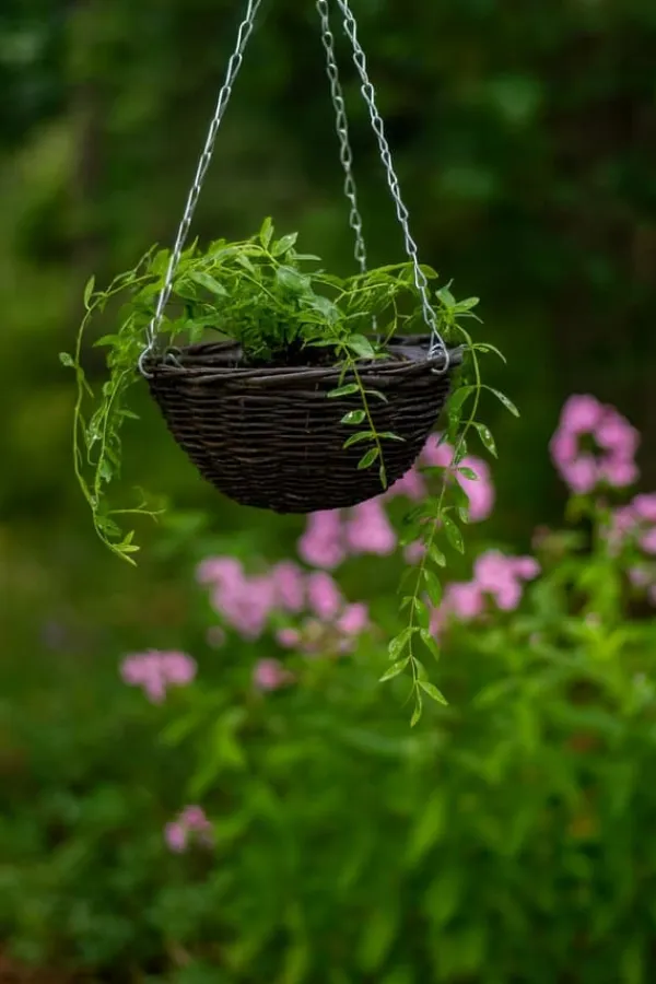 Clearance Set med 5 hängande blomkorgar “EKO 195-110” Trädgårdskorgar