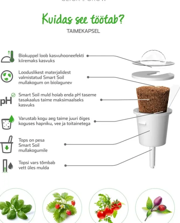 Best Set med 3 produkter. Click & Grow Smart Garden refill Busy Lizzie 3st Blommor