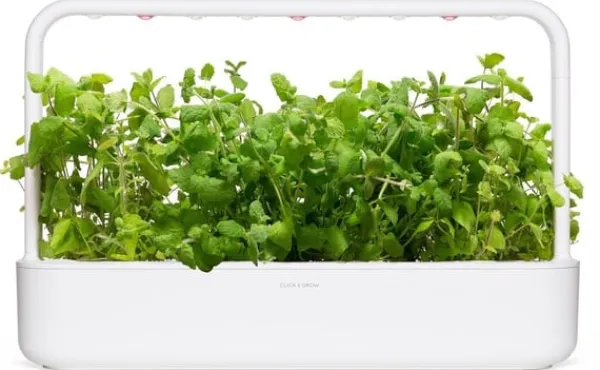 New Set med 3 produkter. Click & Grow Smart Garden refill Apple Mint 3st Kit För Växt- & Örtplantering