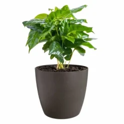 Set of pots Elho Plastic Circular 3 Pieces