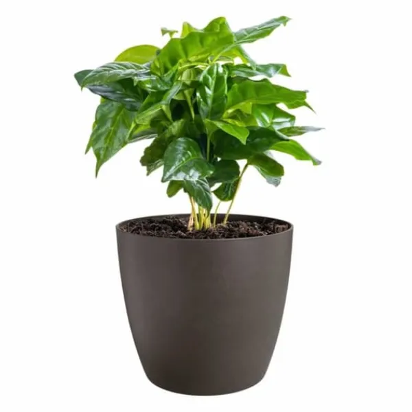 Set of pots Elho Plastic Circular 3 Pieces