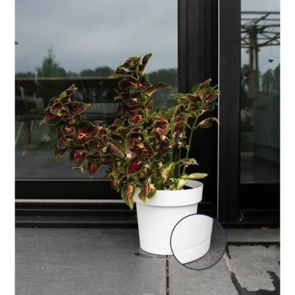 Självbevattnande kruka - GARDEN ID Glamour - Vit 40 cm - Kornig yta - Inomhus/utomhus - Snygg design.
