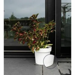 Självvattnande blomkruka Garden ID Vit