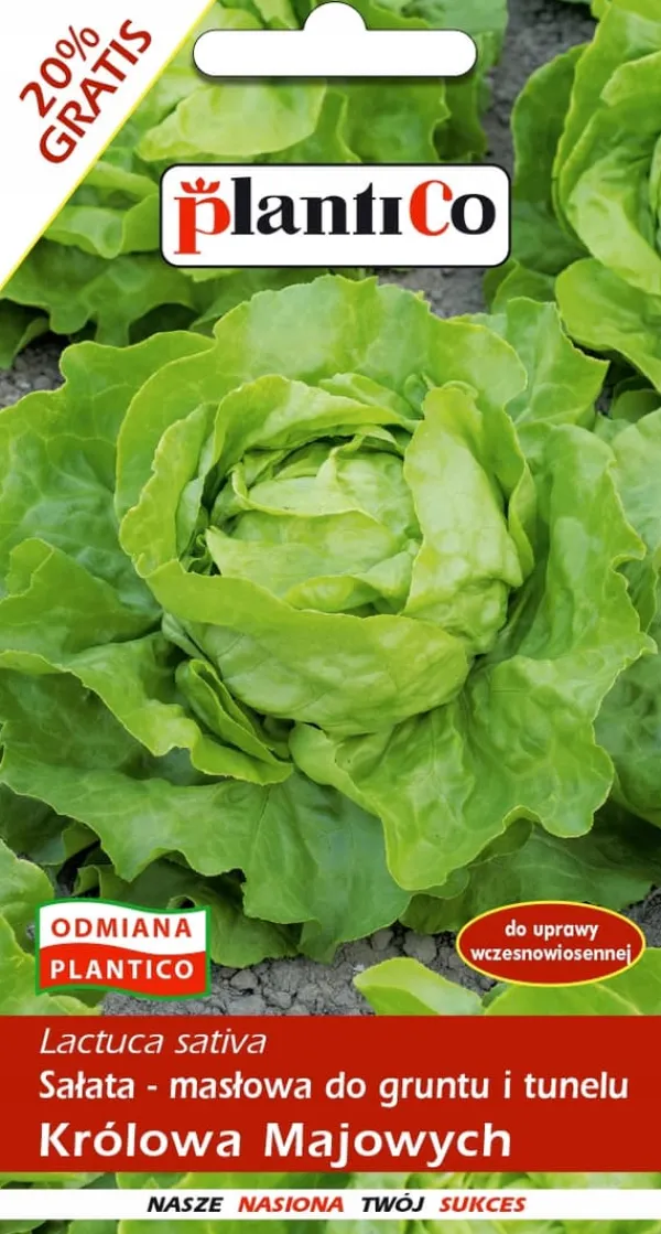 Smörsallat MAY QUEEN 1,2 g. PlantiCo frön
