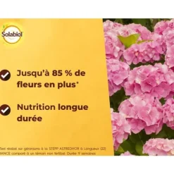 Outlet SOLABIOL SORHOY15 Gödselmedel för hortensia, rhododendron, azaleor och kamelia 100 % ekologiskt | Långvarig verkan, 1,5 kg Gödningsmedel