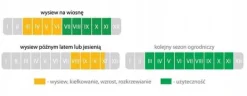 Sportgräs 1 kg förtjockande gräsfrön resistenta mot nedtrampning 40 m²
