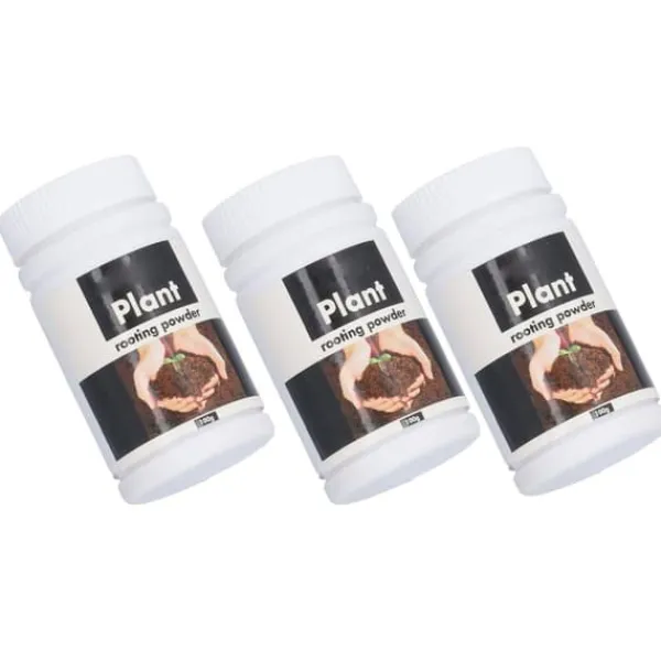 3st 3,5 oz Rooting Pulver Aminosyra Växt Frukt Rooting Pulver Rooting Hormon Pulver för hushållsträdgård