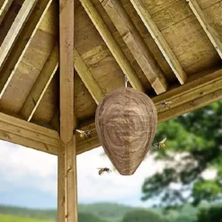 New 4st Getingfällor giftfritt lockbete av papper, avskräckande för bin - Getingbo Insektsmedel & Djuravvisande Medel