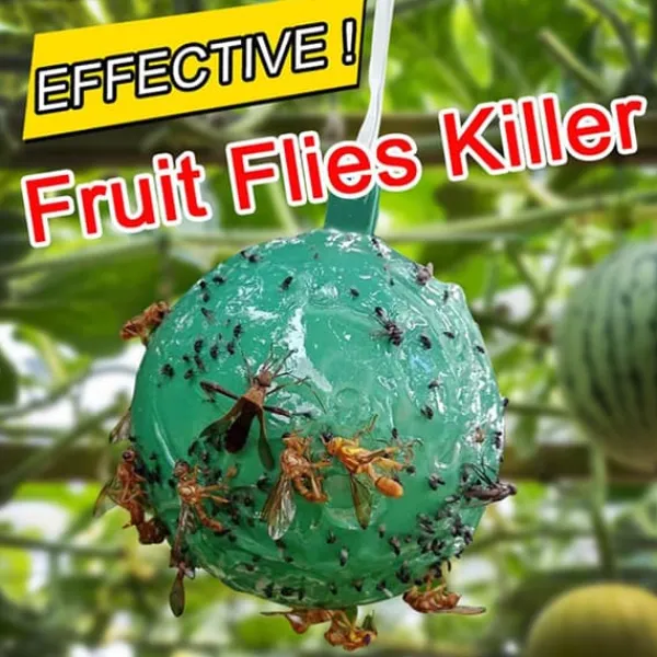 Outlet 8st hängande flugfälla boll fruktflugefångare klibbig fälla utomhus skadedjursfångare för trädgårdsväxter Skadedjursfällor