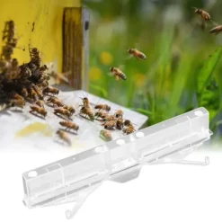 Discount 20st Små Bikupor Skalbagge Fälla Ungdjur Samlare Plast Bärbar Biodlingsutrustning Verktyg Skadedjursfällor