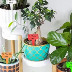 Best 50st Växtetiketter | Plantskyltar för Märkning av Växter Trädgårdsverktyg