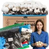 Svampodlingskit 5 kg mycel Hemma svampodling + Gratis Kit För Växt- & Örtplantering