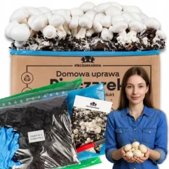 Svampodlingskit 5 kg mycel Hemma svampodling + Gratis Kit För Växt- & Örtplantering